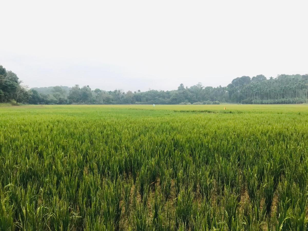 Partho Home Stay Padinjarathara Luaran gambar