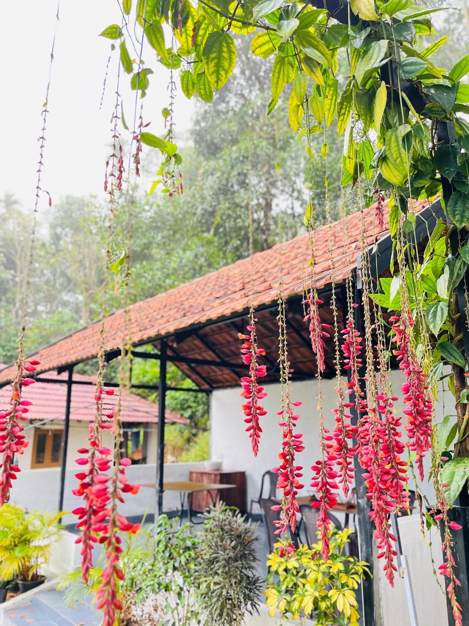 Partho Home Stay Padinjarathara Luaran gambar